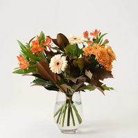 Mera blomsterglädje höst