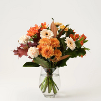 Mera blomsterglädje höst