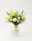 Solglimt
