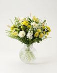 Solglimt