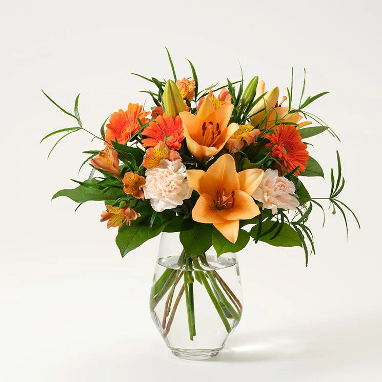 Mera blomsterglädje