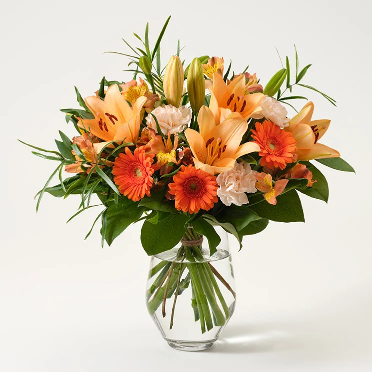 Mera blomsterglädje